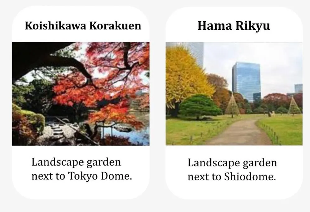 Shinjuku Area Convenient Access For Sightseeing Tokyo 0*,